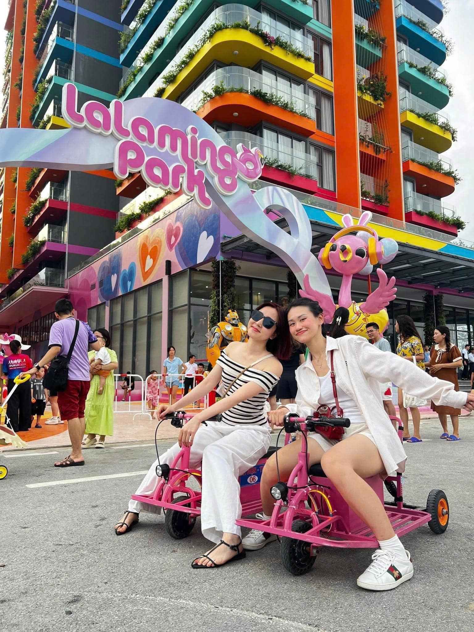Top 5 Hạng Phòng Cao Cấp Đáng Lựa Chọn Tại Flamingo Hải Tiến