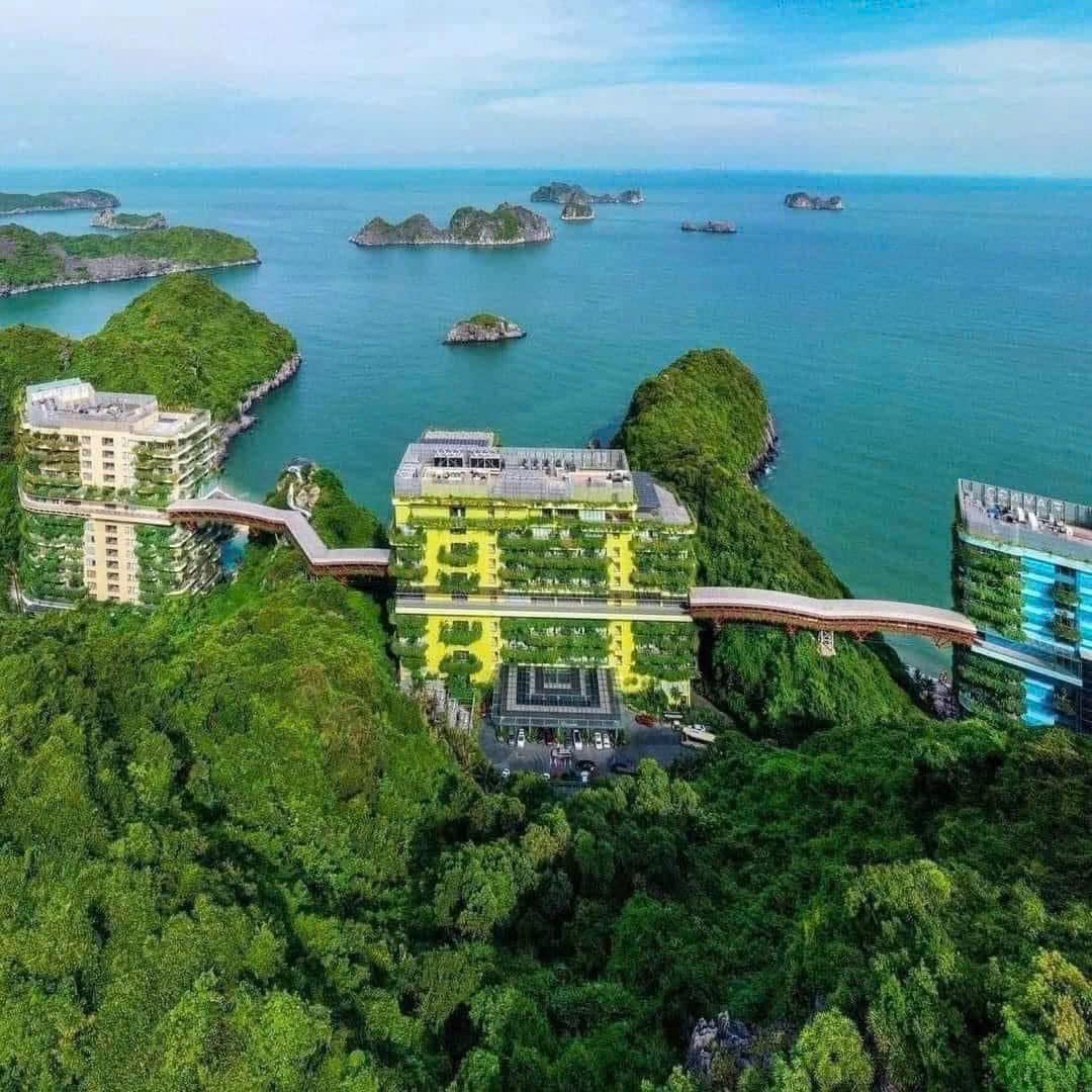 Chia Sẻ Kinh Nghiệm Đặt Tàu Ra Vịnh Lan Hạ