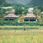 Cảnh đẹp mai châu