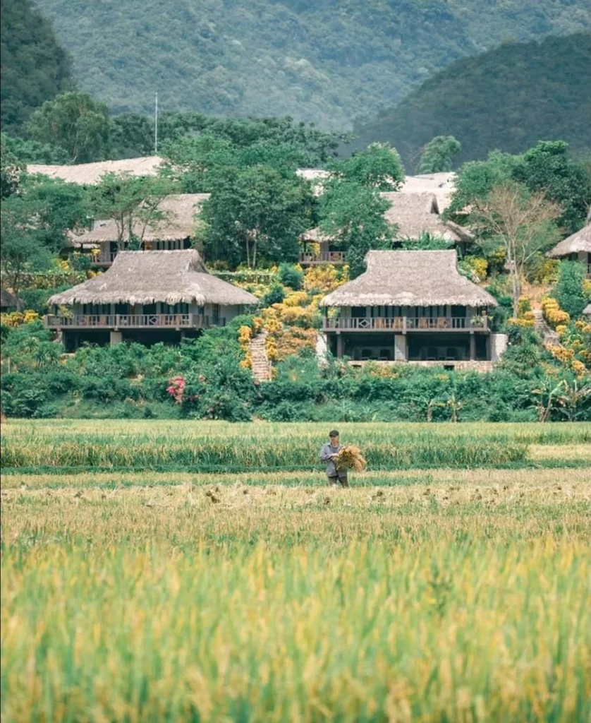 Cảnh đẹp mai châu