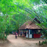 địa đạo củ chi