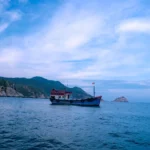 Toàn cảnh ninh chữ