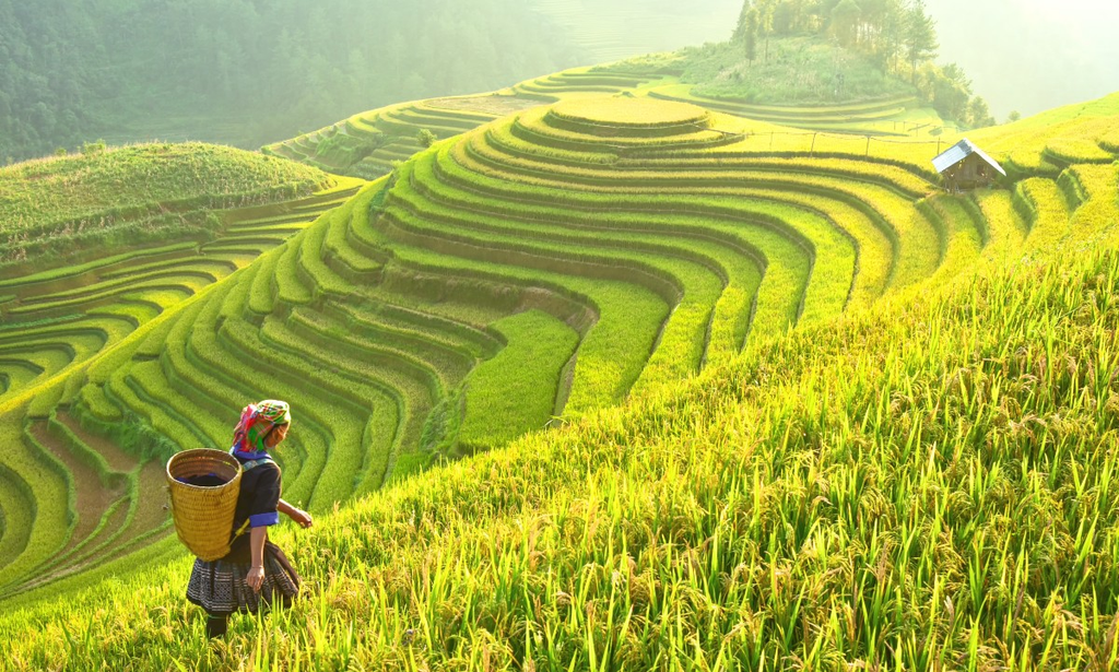 Công Ty TNHH Du Lịch Truyền Thông Và Sự Kiện én Việt: Đơn vị hàng đầu trong lĩnh vực du lịch và sự kiện